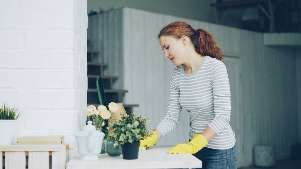 Professional cleaning energy solar panels with soft brush and filtered water system